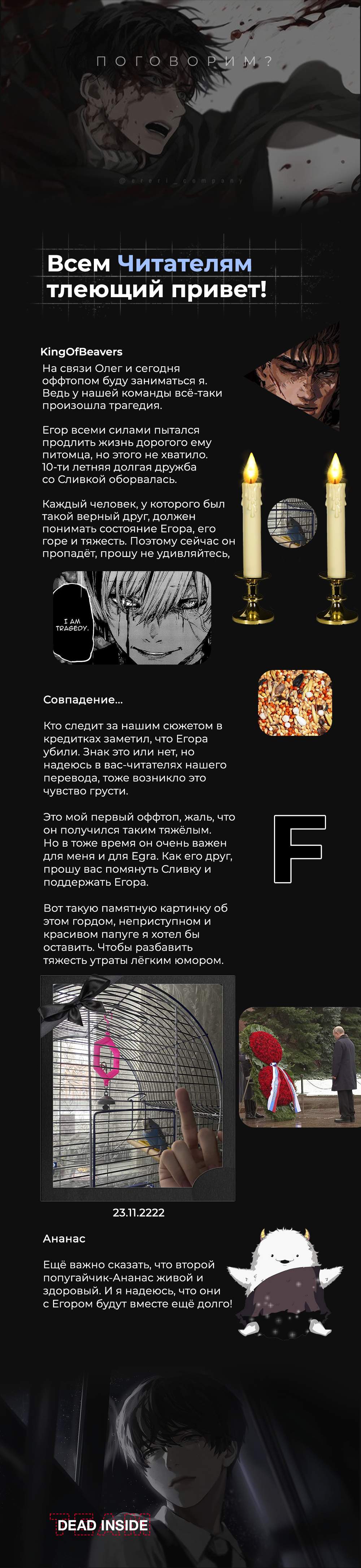 Страница 11